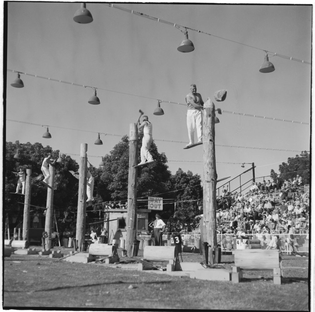 Photograph showing 5 men, each standing on a board, each chopping down a vertical log at the Royal Easter Show. An official judge looks on and spectators sit watching in a stepped grandstand.